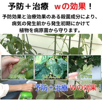 ベニカベジフルVスプレー 住友化学園芸