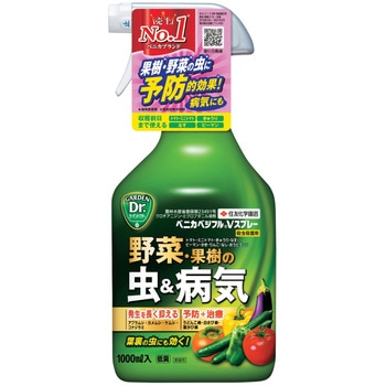 - xjJxWtVXv[ KINCHO| 51178085