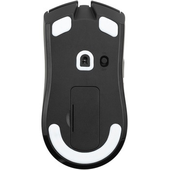 GRAPHT PTFE マウスソール ホワイト (Razer Viper V3 Hyperspeed) GRAPHT(グラフト)