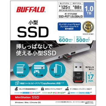 BUFFALO バッファロー PC対応 USB3.2(Gen2)対応 高速モデル TypeA-C