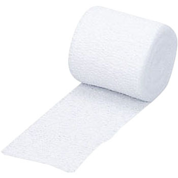 00000039 �z�X�s�^�C �I�I�T�L���f�B�J�� 51264928