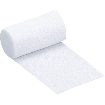 00000041 �z�X�s�^�C �I�I�T�L���f�B�J�� 51264946