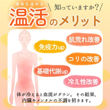 enetanpo/ET-13エネタンポUSBホットマット 大河商事