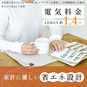 enetanpo/ET-13エネタンポUSBホットマット 大河商事