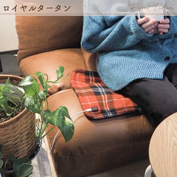 enetanpo/ET-13エネタンポUSBホットマット 大河商事