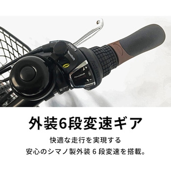 防災サイクル 12Ahバッテリー仕様 20型6段変速付きフル装備ノンパンク折り畳み電動アシスト自転車 【簡易組立品】 PELTECH(ペルテック)