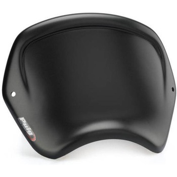 FRONT PLATE FOR HARLEY DAVIDSON SPORTSTER FORTY-EIGHT 48 2017 | 20399 Puig (プーチ)