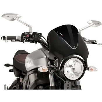 レトロビジョン | 9560 Puig (プーチ)