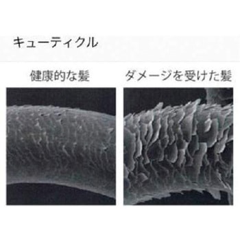 シャワーサロンスタイルプレミアム SANEI