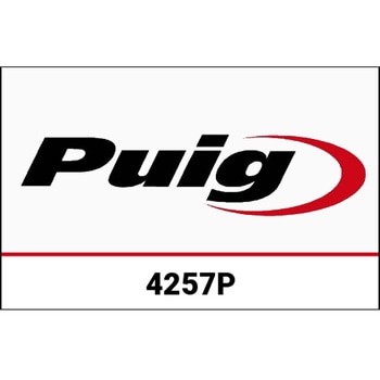 ナンバー | 4257 Puig (プーチ)