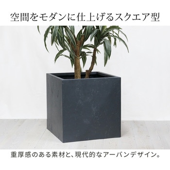 マグネシアプランター"TEXTURE"(テクスチャー)角型50cm 住まいスタイル
