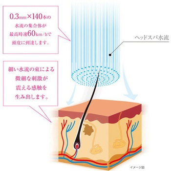 3Dアースシャワーヘッドスパ アラミック