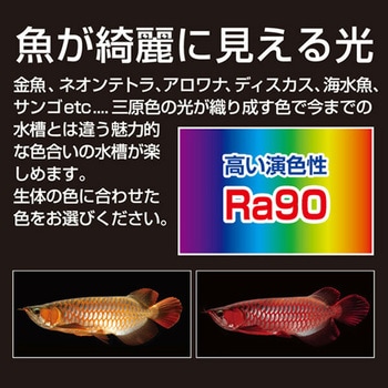 水槽用LEDライト ゼンスイ