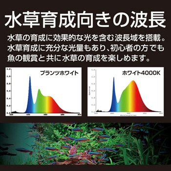 水槽用LEDライト ゼンスイ