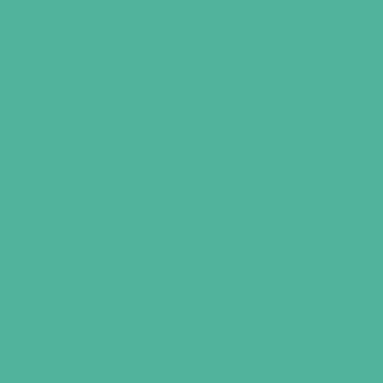 クラウゼンAMB40 パール(PEARL)