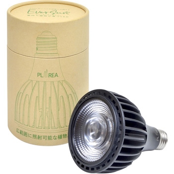 Regular24W EVERSUN365 A琬Cg [XC 51424600