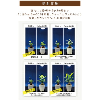 Regular24W EVERSUN365 植物育成ライト 1個 ゼンスイ 【通販モノタロウ】