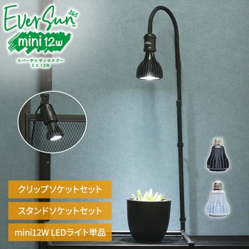 新品アウトレット 植物育成ライト 10W 5800K 6個 黒色1106 Amazon.co.jp: UNDERDOG NURSERY BULL 10W 5800K BLACK 植物育成