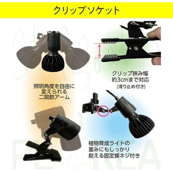 nana様購入専用 MDS BtoB |#ソニック 筆記小物 ちょいケズ＆替刃 DPセット DP