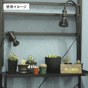 Mini12W BLACK EVERSUN365 植物育成ライト 1個 ゼンスイ 【通販