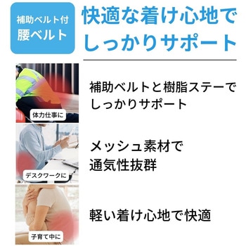 ランバックソフトII 竹虎