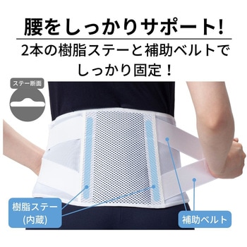 ランバックソフトII 竹虎