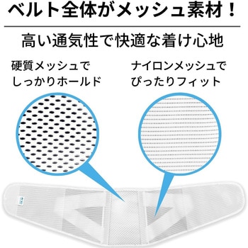 ランバックソフトII 竹虎