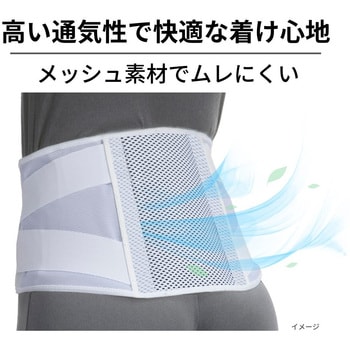 ランバックソフトII 竹虎