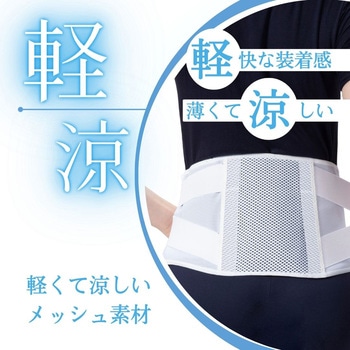 ランバックソフトII 竹虎