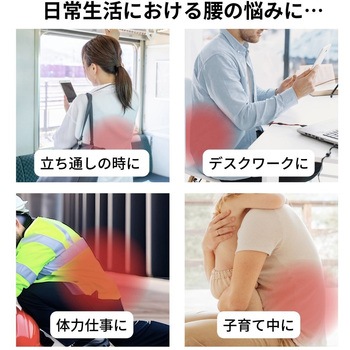 ランバックソフトII 竹虎