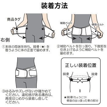 ランバックソフトII 竹虎