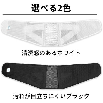 ランバックソフトII 竹虎