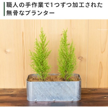 底有プランター トリパスニワクラブ 日本製 TRIPATH(トリパス)
