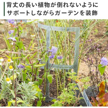 ガーデンサポート トリパスニワクラブ 日本製 TRIPATH(トリパス)