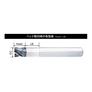 Phoenix(フェニックス) PXM用 ストレートシャンクホルダ 鋼シャンク (オイルホール無し) OSG(オーエスジー)