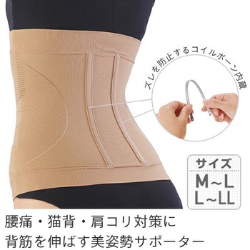 美姿勢サポーター - メイダイ