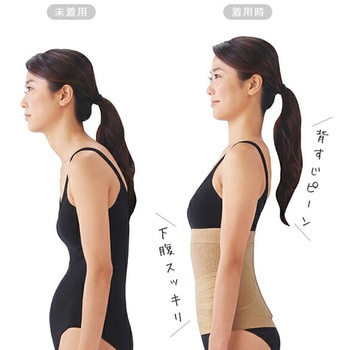 美姿勢サポーター - メイダイ