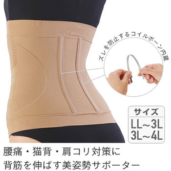 美姿勢サポーター - メイダイ