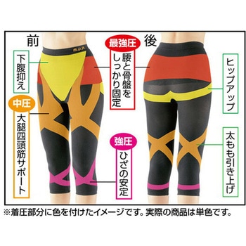 勝野式 トリプルX 膝・腰・軽サポート メイダイ