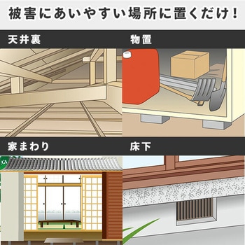 天然成分忌避剤 ハクビシン バイバイ! - メイダイ