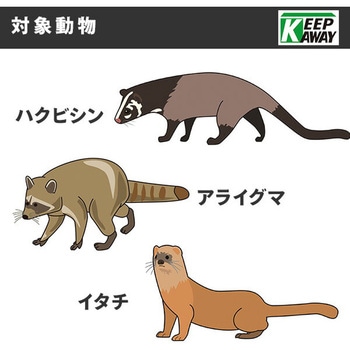 天然成分忌避剤 ハクビシン バイバイ! - メイダイ