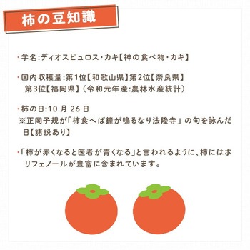 サプリメント 柿ダノミ SUMINOE