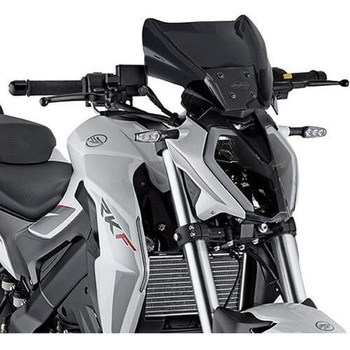 ティンテッド ウインドスクリーン 高さ 220 mm 幅 310 mm - GIVI(ジビ)