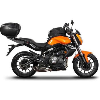 トップマスターフィッティング BENELLI BN 302'15 SHAD (シャッド)