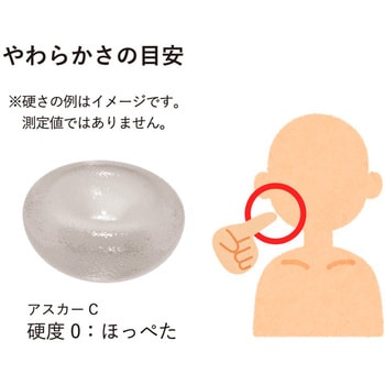 人肌のゲル原液 透明 エクシール