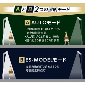 ソーラー防犯灯 (サニーソライト) 配線工事不要 人感センサー付 セフティー電気用品