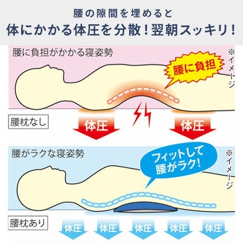 身体と眠りのプロが考えた 腰まくら メイダイ
