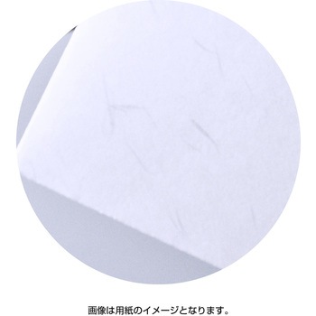 洋2封筒 Paletta パレッタ ササガワ