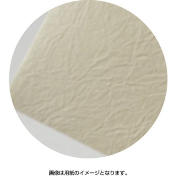 洋2封筒 Paletta パレッタ ササガワ