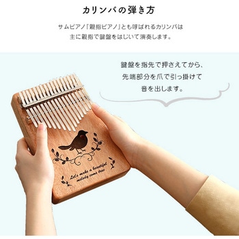 指で弾くピアノ カリンバ初心者セット 絵柄付きタイプ ホームテイスト